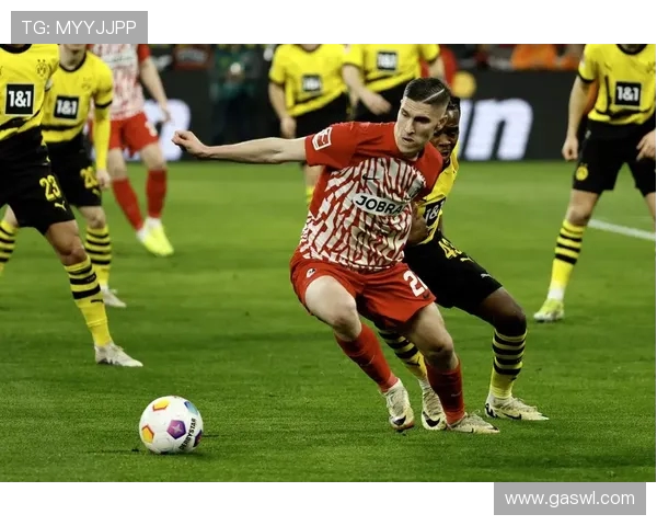 弗赖堡是谁？一支稳扎稳打的德甲球队全解读